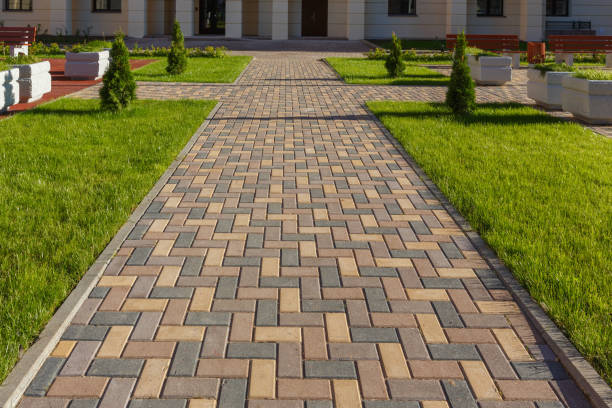 Best Driveway Paving Near Me  in Tutwiler, MS